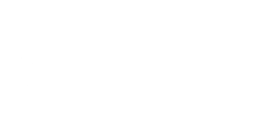 Reflex GO scooter